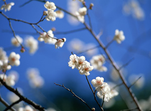 20130202.jpg